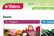 yates